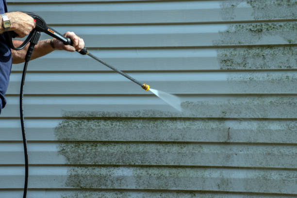 Best Roof Washing  in De Smet, SD